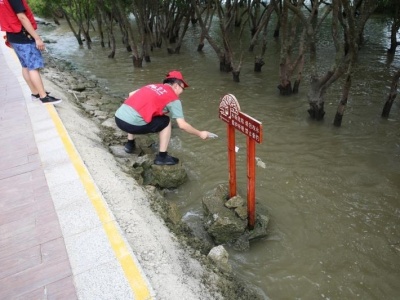 沿红树林水域清垃圾!深圳海事志愿者开展保护环境活动
