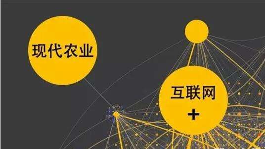 国务院常务会议部署调整运输结构提高运输效率