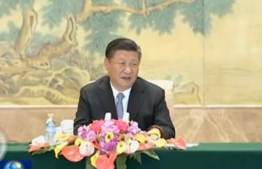 习近平会见出席“全球首席执行官委员会”特别圆桌峰会外方代表并座谈