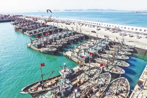 今年深圳延续“史上最严”休渔制度