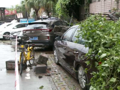 暴雨致小区围墙倒塌  8辆小车不幸被砸