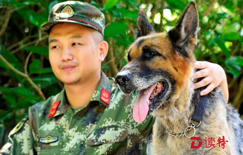 功勋犬的幸福晚年
