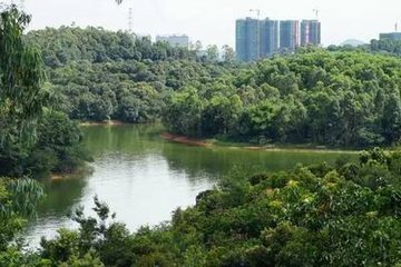 龙岗区平湖街道山厦河综合整治项目征拆工作纪实