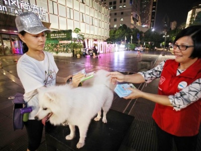 城管部门开展文明养犬执法行动 深圳查处不文明养犬约100宗