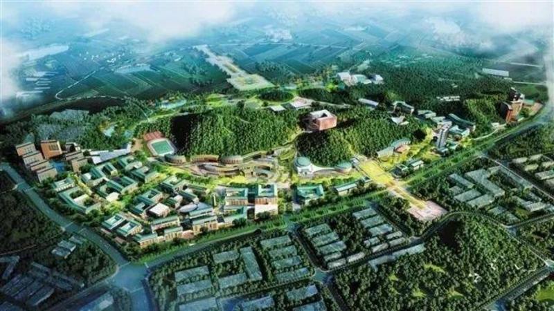 中大深圳校区动工！深圳抢抓机遇推动高等教育跨越式发展