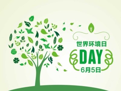 广东省环境日公益活动5日在宝安举行