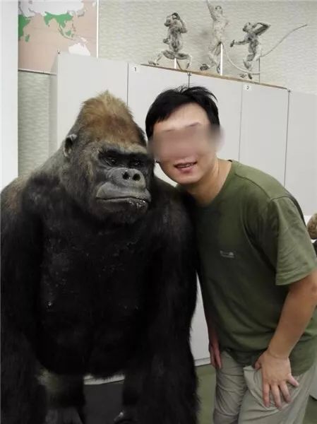 中大教授就骚扰女生发声明:有不当行为 但网文也有不实