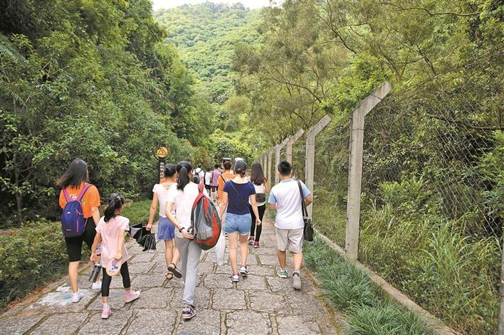 4成受访者为刷微信排行榜加大运动量，膝盖“伤不起”！