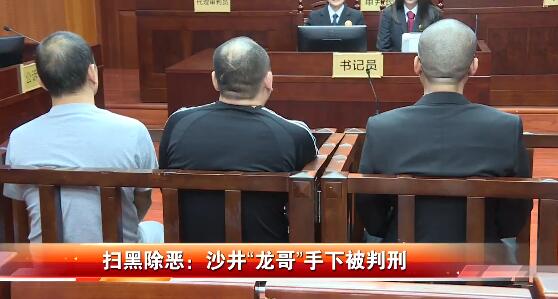 新鲜！深圳法院直播审理涉黑涉恶案 