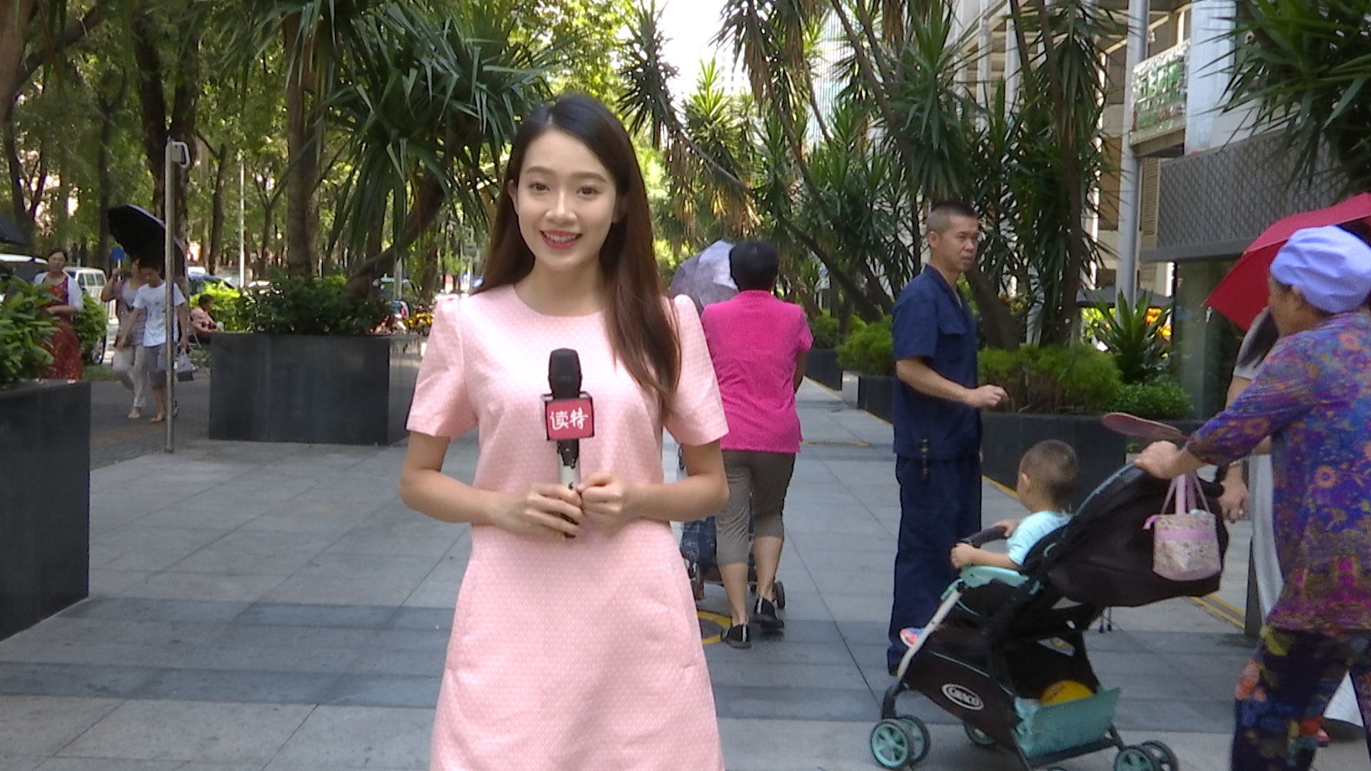 新闻路上说说说丨周末开车去梅沙大鹏要预约？蜀黍这么说