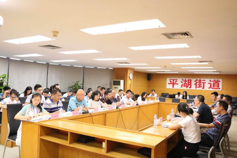 平湖街道“一街一车一室”规范化运营通过专家评审  