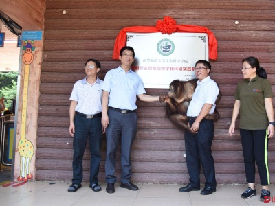 红毛猩猩有了“科研之家”!深圳野生动物园教研基地揭牌