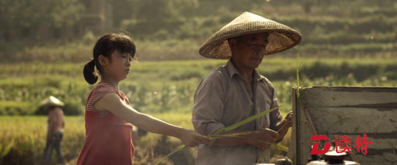 东莞拍的这部电影闯入国际电影节！没想到演员全是“原生态”的