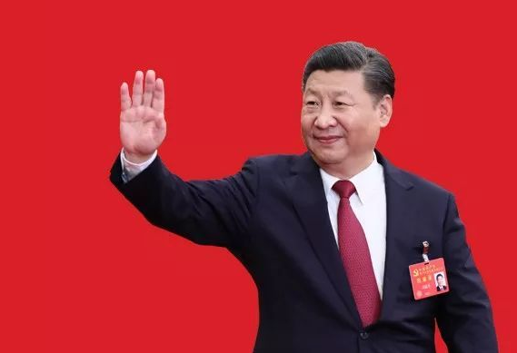 习近平把脉党内顽疾