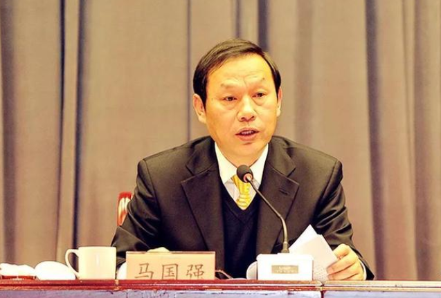 马国强任武汉市委书记
