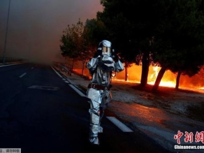 希腊森林大火遇难人数升至83人 救援队仍搜寻失踪者 