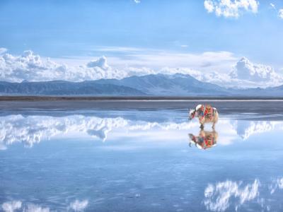 “天空之镜”茶卡盐湖遭垃圾困扰，高峰期一天清出12吨垃圾