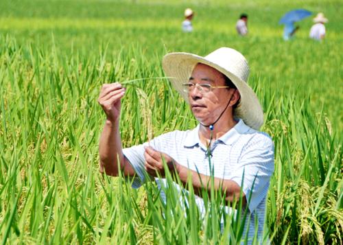 【景鹏小学 廖旻】一个农业专家的忧虑   