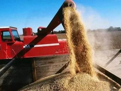 国家粮油信息中心：我国完全有能力应对美国大豆进口减少缺口