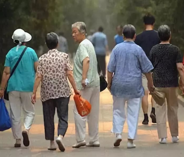 2050年老年人将占我国总人口约三分之一