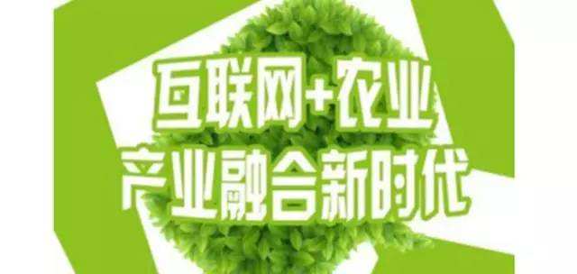 农业农村部：“互联网+农业”产业融合当务之急就是农产品出村
