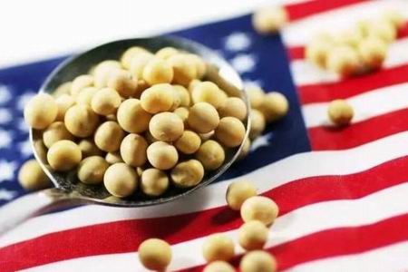 国家粮油信息中心：我国完全有能力应对美国大豆进口减少缺口 