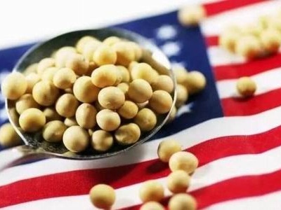 国家粮油信息中心：我国完全有能力应对美国大豆进口减少缺口 