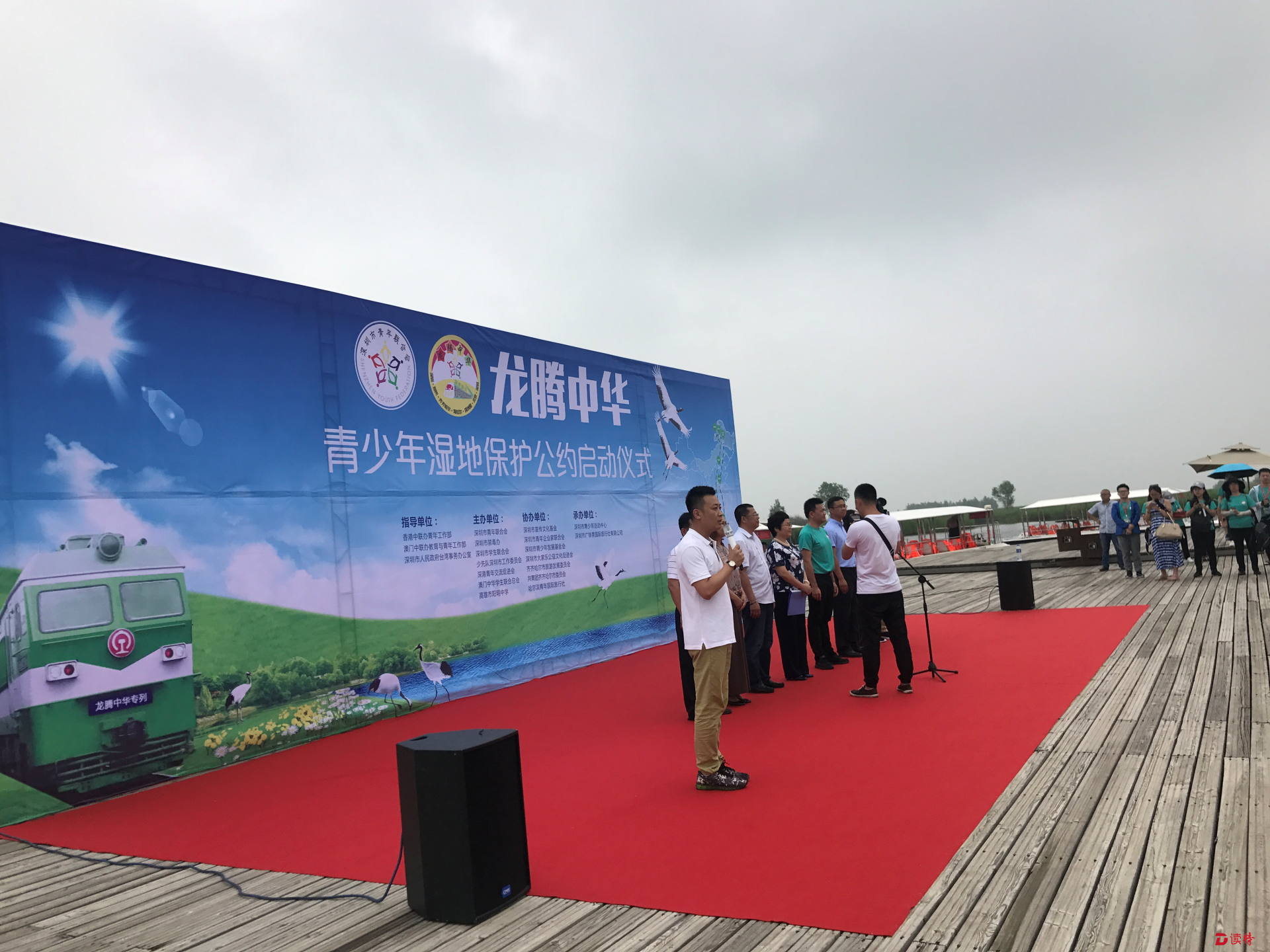 这群深港澳台的孩子到黑龙江扎龙湿地放飞丹顶鹤