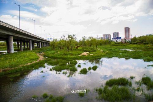 深圳市政府常务会议部署黑臭水体整治工作