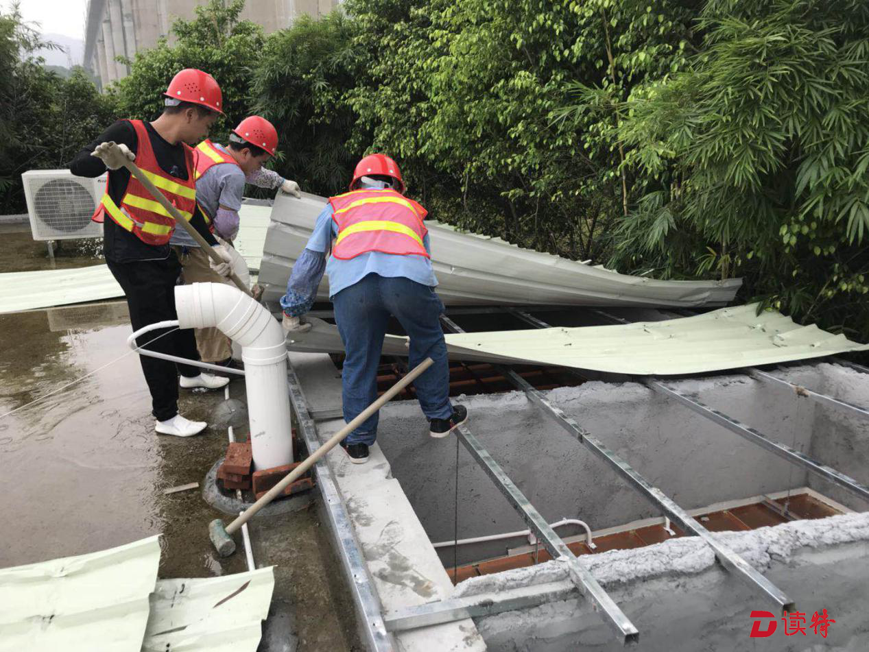 龙岗园山街道拆除高架桥下隐蔽违建