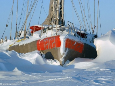 中国明年将依托“极星”号参与北极漂流冰站计划
