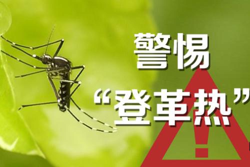 深圳登革热指数升至 III 级 已有一女娃中招！
