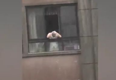 神操作！风雨交加，男子竟从窗户探出身子用雨水洗头……