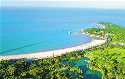 未来新增红树林总面积140公顷 深圳海洋环境保护规划出台