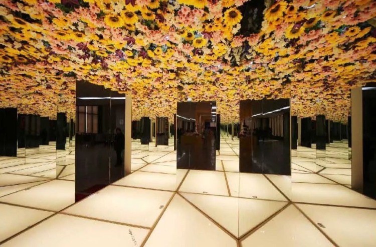 看展 | “你，我的缪斯”光影艺术大展带你走近大师
