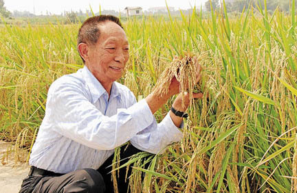 科技日报：不能遗忘袁隆平，“暂时”也不行 