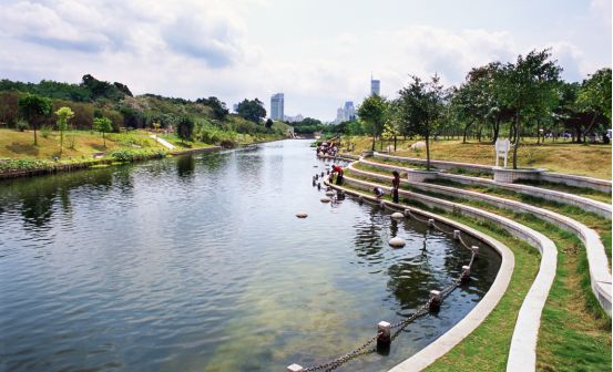 深圳“五河”水体治理顺利 253项重点工程正常推进或完工