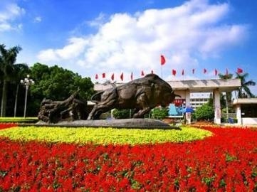 打造一流政务环境 深圳市委委托民主党派专项民主监督