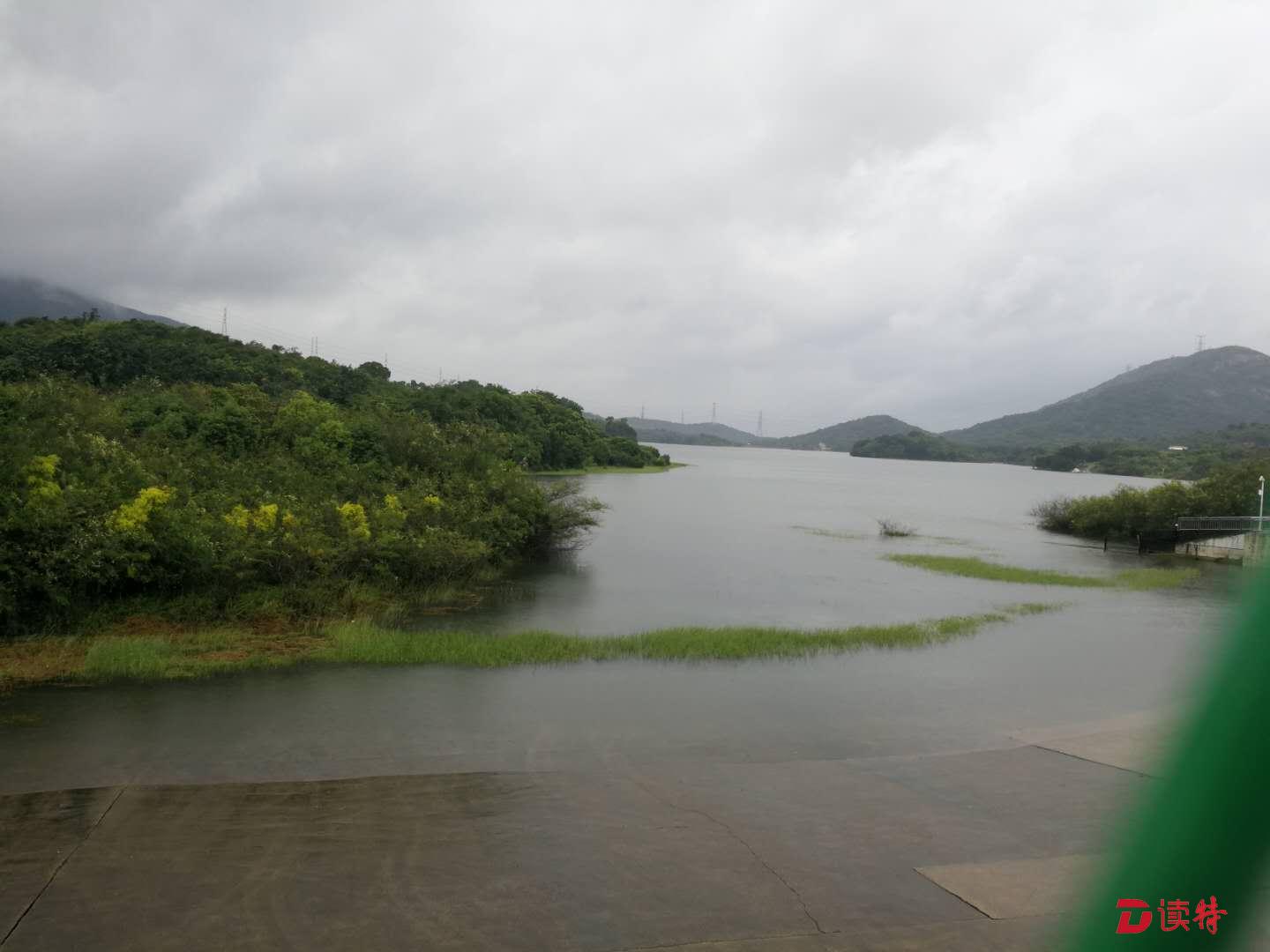 直播 | 深圳连续两日局地特大暴雨，记者直击三洲田水库泄洪