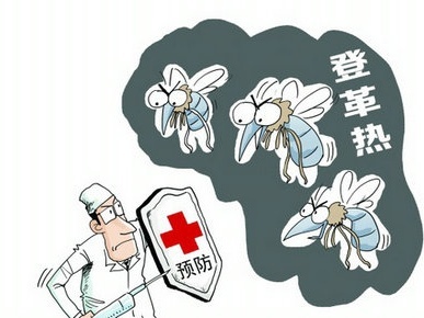 香港登革热再增2例 全港将开展10周密集式灭蚊行动
