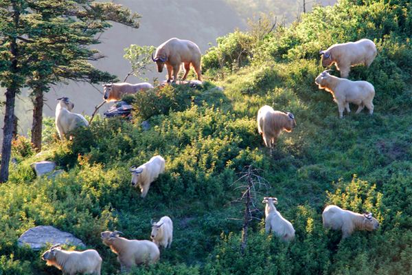 中国40年成功申报34个世界生物圈保护区