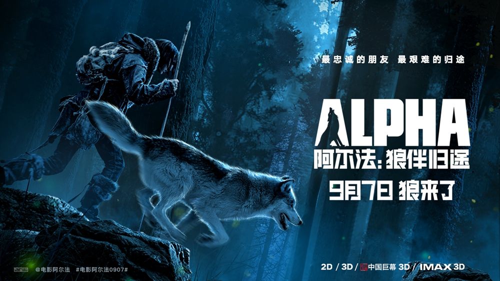 《阿尔法：狼伴归途》定档9月 一人一狼穿越最艰难归途