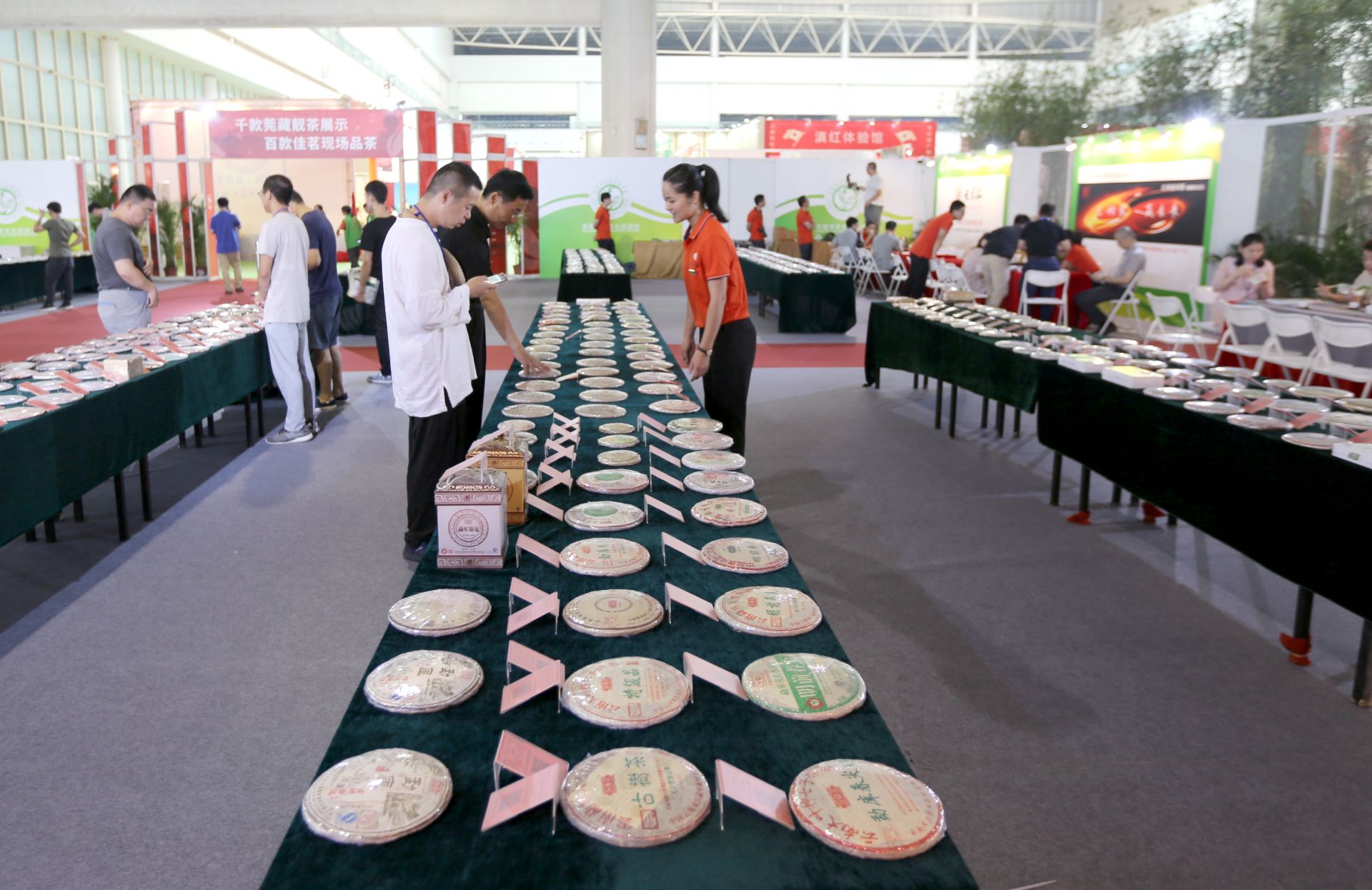 约起来！东莞秋季茶博会九月在这里举行