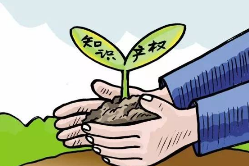 深圳实施知识产权强市推进工程 实施最严格知识产权保护