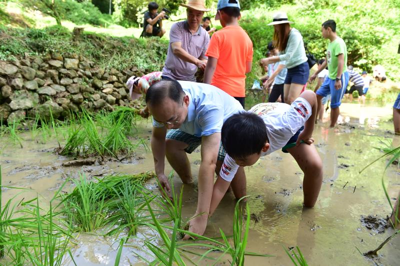 不忘初心！南岭村青少年“脱鞋下田”，感受劳动艰辛