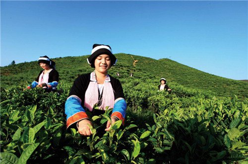 对口广西百色河池扶贫近两年 深圳精准扶贫试点工作圆满成功