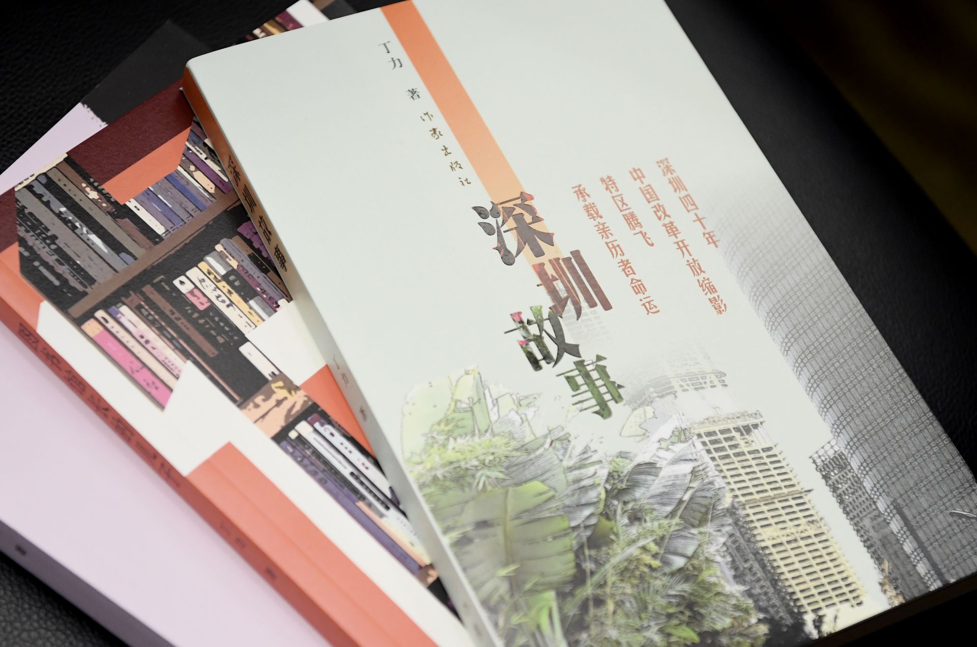 丁力作品研讨会召开:扎根深圳 关注时代中人的精神世界