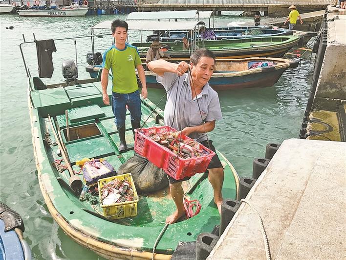 开渔啦！生猛海鲜正“赶往”市民餐桌