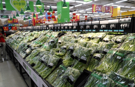 蔬菜等价格平稳供应充足，深圳市价监局加强市场巡查保稳价