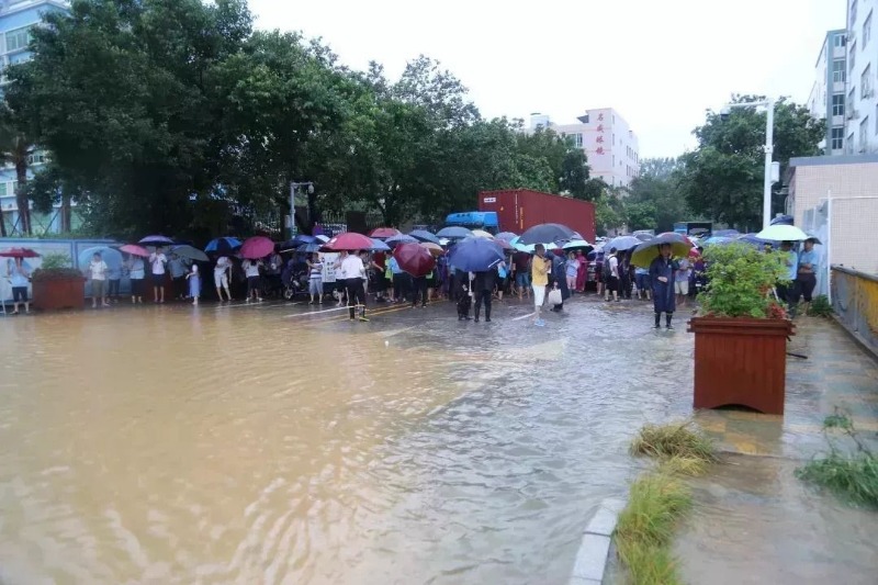 面对60年一遇强降雨，坪山区全力以赴开展防御救援！